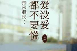 市中市私人侦探